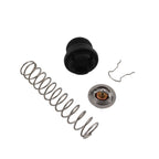 Thermal Regulator Kit for Pentair Sta-Rite Max-E-Therm (2007-2023)