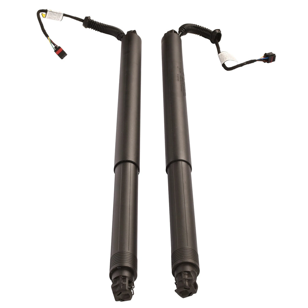 Set of 2 Rear Power Lift Cylinder Struts for Nissan Murano (2015–2019)