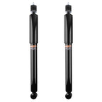 Set of 2 Rear Shock Absorbers for Honda Civic (2006–2011)