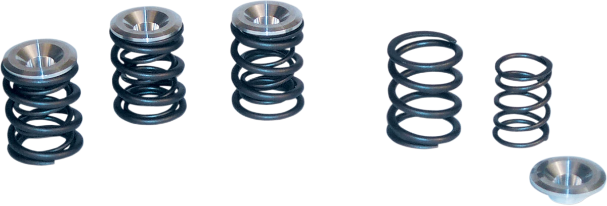 S&S Cycle Valve Spring Kit 0.550" Lift for Panhead Shovelhead (1948–1984)