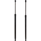 Liftgate Struts Set of 2 for Ford Escape