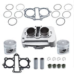Engine Cylinder Assembly with Piston Gaskets for Honda Rebel 250 (1996-2015)