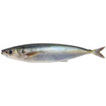 15cm Soft Mackerel Lure for Bass Trout Fishing (Flexible Silicone)