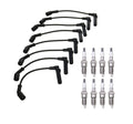 Denso Wire Set & Double Platinum Spark Plug Kit for Chevy GMC 8.1L V8 (2001–2006)