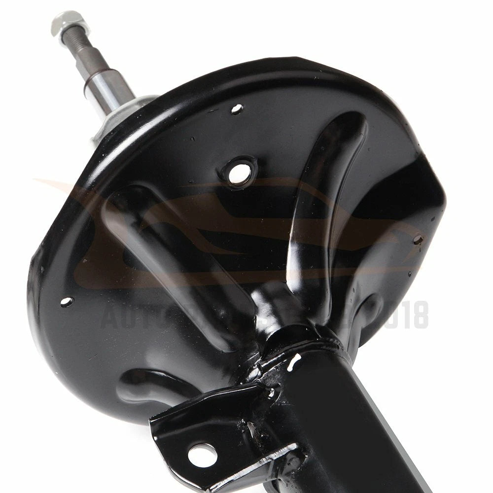 Front Pair Strut Assembly for Hyundai Santa Fe (2001-2006)