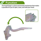 Hood Hinges for Nissan Sentra (2020–2024) 1 Pair