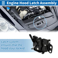 Hood Latch Assembly for Dodge Nitro (2007–2011) No. 04589826AA