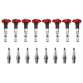 Set of 8 Ignition Coils & NGK Platinum Spark Plugs for Audi A6 A8 S4 S6 S8