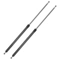 Gas Strut Lift Support for Ford (2016–2020)