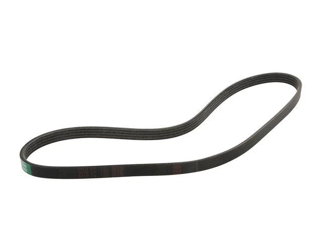 Multi Rib Belt for Mazda Protege (1995–2003) PR594MB