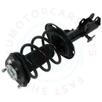 Set of 2 Front Quick Struts Shock & Spring Assembly for Toyota Prius V (2012–2016)