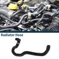 Radiator Hose for Mercedes-Benz C-Klasse (No. 2098300096)