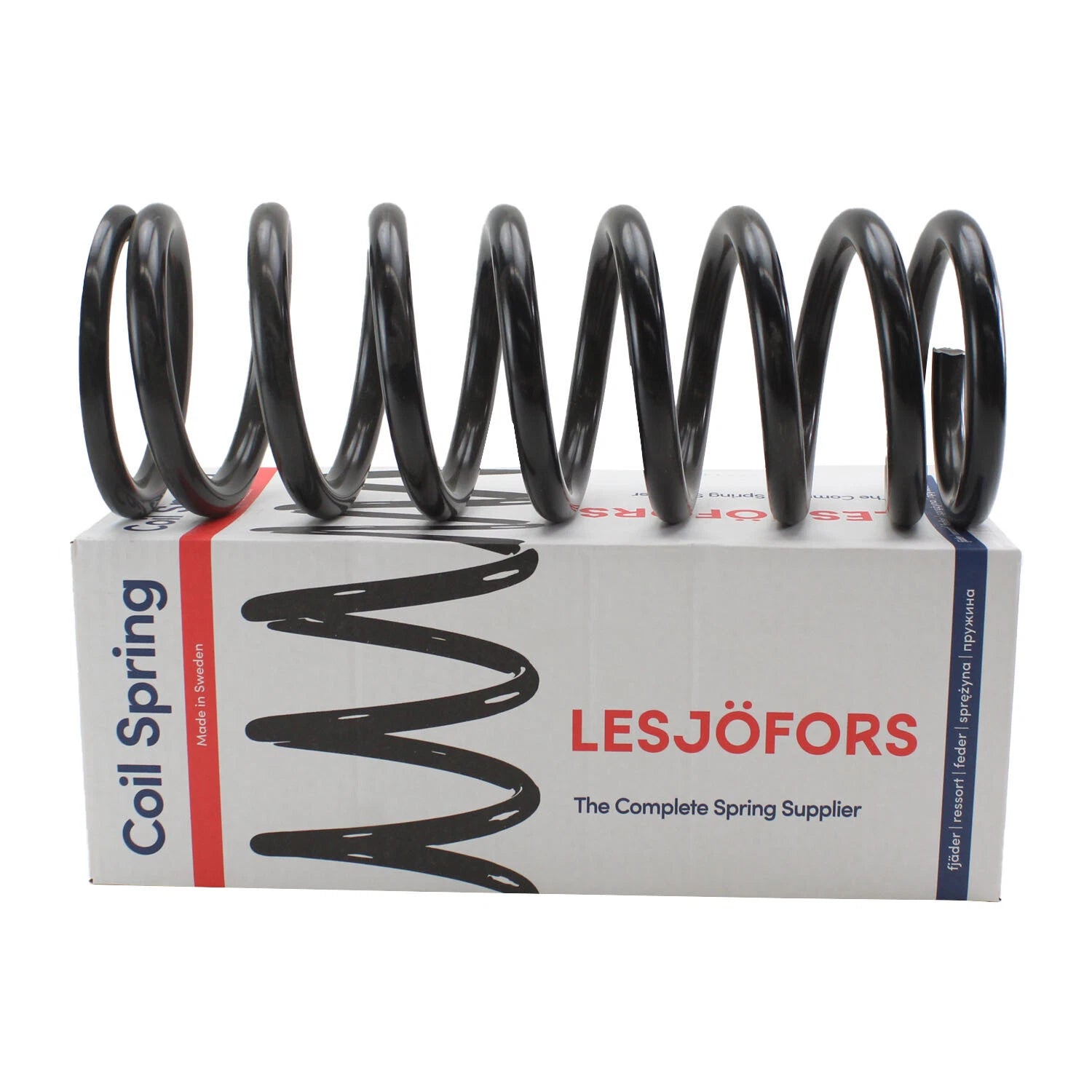 Rear Coil Spring for Mercedes-Benz (4256806)