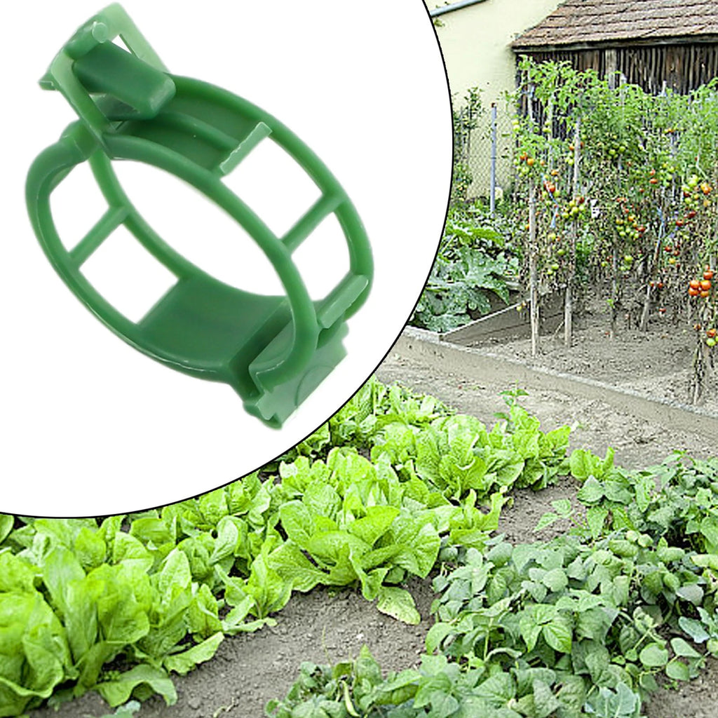 Clips for Greenhouse Accessories (Plastic Replacement Buckle)