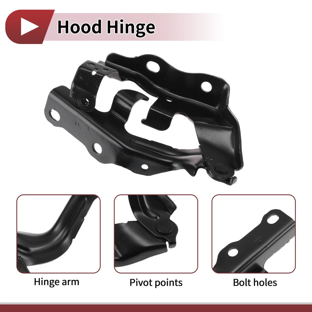 Hood Hinge for Toyota Camry (2002–2021) Right Side, 1 pcs