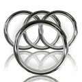 SETOF4 16" STAINLESS STEEL WHEEL TRIM RINGS BEAUTY RIMS GLAMOUR RING for GM RIM