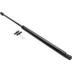 Lift Support for Lexus LS400 (1998–2000) Driver and Passenger Side