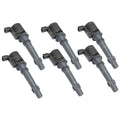 6 Ignition Coils for Ford Falcon BA BF 4.0L Barra 182 190 240T 245T E-Gas Set