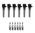 Set of 6 Ignition Coils & Spark Plugs for 3.0L V6 (Denso)