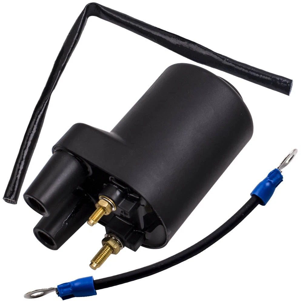 Ignition Coil for Onan P218G P220G P224G (166-0722, 166-0820, HE541-0522, HE166-0761)