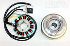 12 Pole Magneto Stator Roller Flywheel for 200cc 250cc Engine PIT Quad ATV