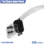 Power Window Regulator Motor Assembly for Ram 1500 Van (1998-2003)