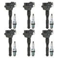 Set of 6 Ignition Coils & NGK Laser Platinum Spark Plugs for A4 320i 530i