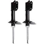 2X Front Struts for Pontiac Aztek Buick Rendezvous (2001–2007)
