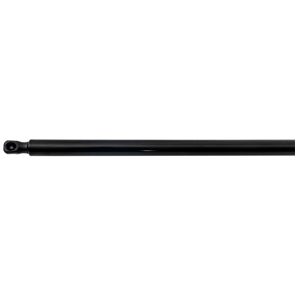Liftgate Lift Supports for Ford Explorer (2020–2023)