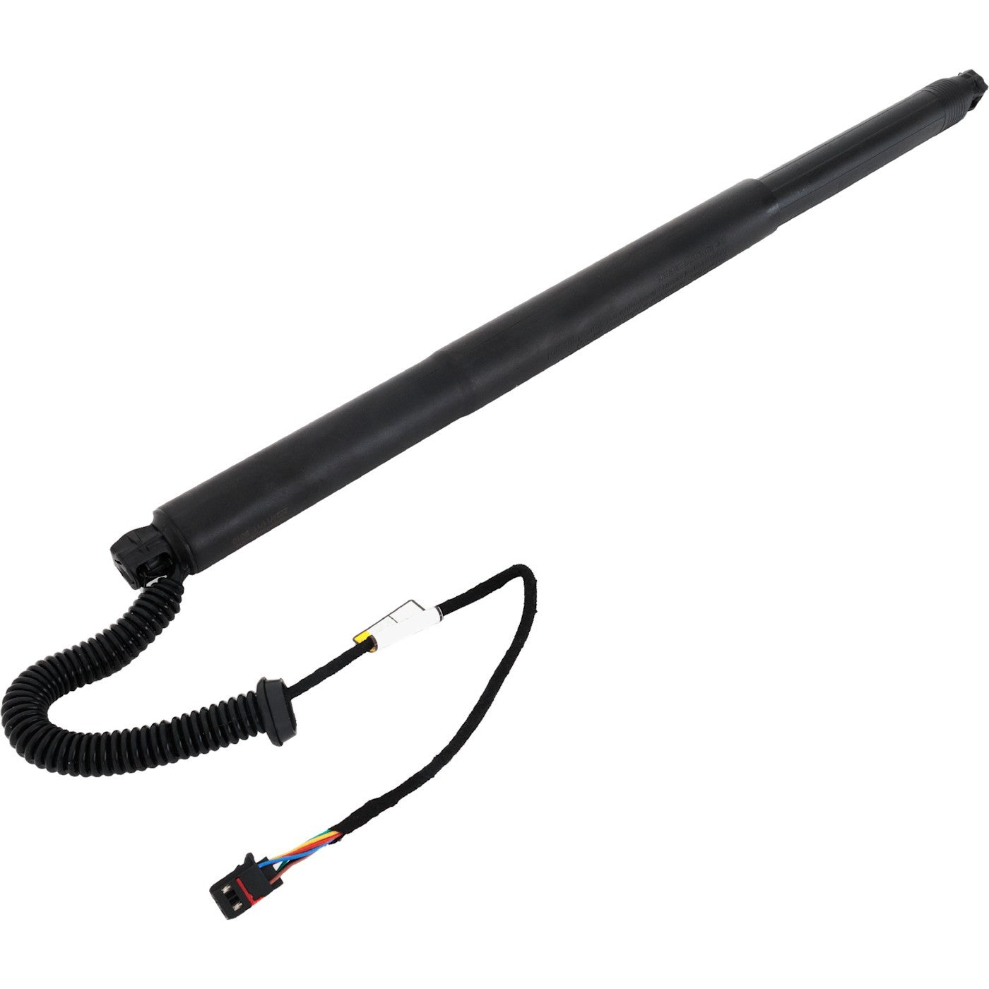 Set of 2 Liftgate Lift Supports for VW