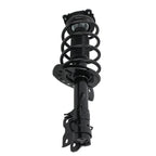 2X Front Left + Right Strut Spring for Nissan Sentra (2014–2019) 1.6L 1.8L
