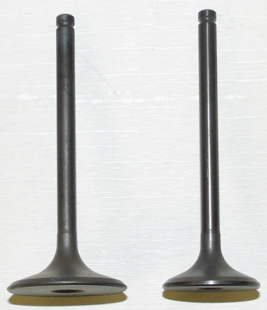 Engine Valve Kit for Honda TRX 400 FW (1995–2003) 017-024