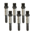 Set of 6 Ignition Coils for BMW E46 320i (2003–2004) E36 Z3 3.2L L6 (2000)