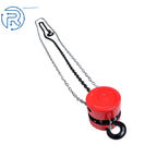 1 Ton Manual Chain Hoist with 2 Hooks and 8' Lift
