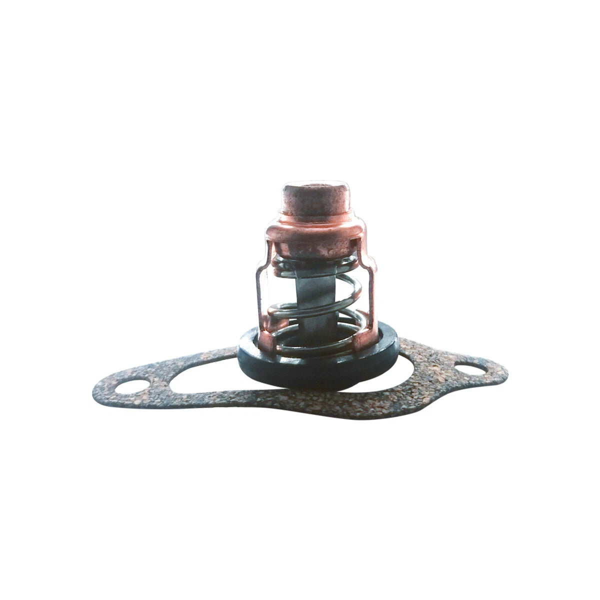 Thermostat 8M0139434 for Mercury Mariner 10HP 15HP 20HP (2000–2009)
