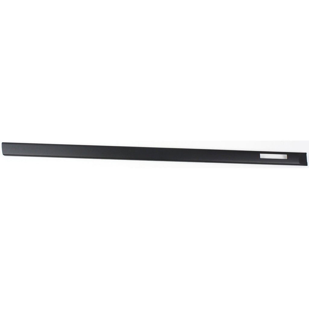 Set of 2 Door Molding and Beltlines for Coupe