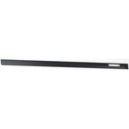 Set of 2 Door Molding and Beltlines for Coupe