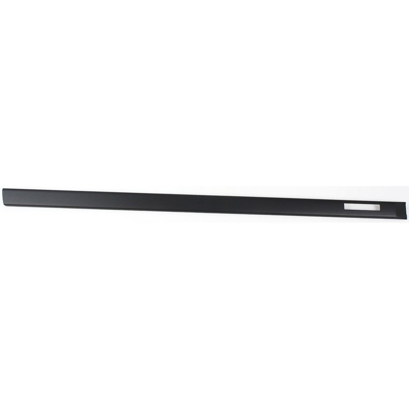 Set of 2 Door Molding and Beltlines for Coupe