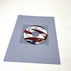 Evinrude Service Manual Set CDROM for E-TEC 5008742 (2012)
