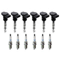 Set of 6 Ignition Coils & NGK Spark Plugs for Audi A6 Allroad Quattro