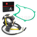 Stator and Gasket for Honda CRF100F CRF100F (2004–2013)
