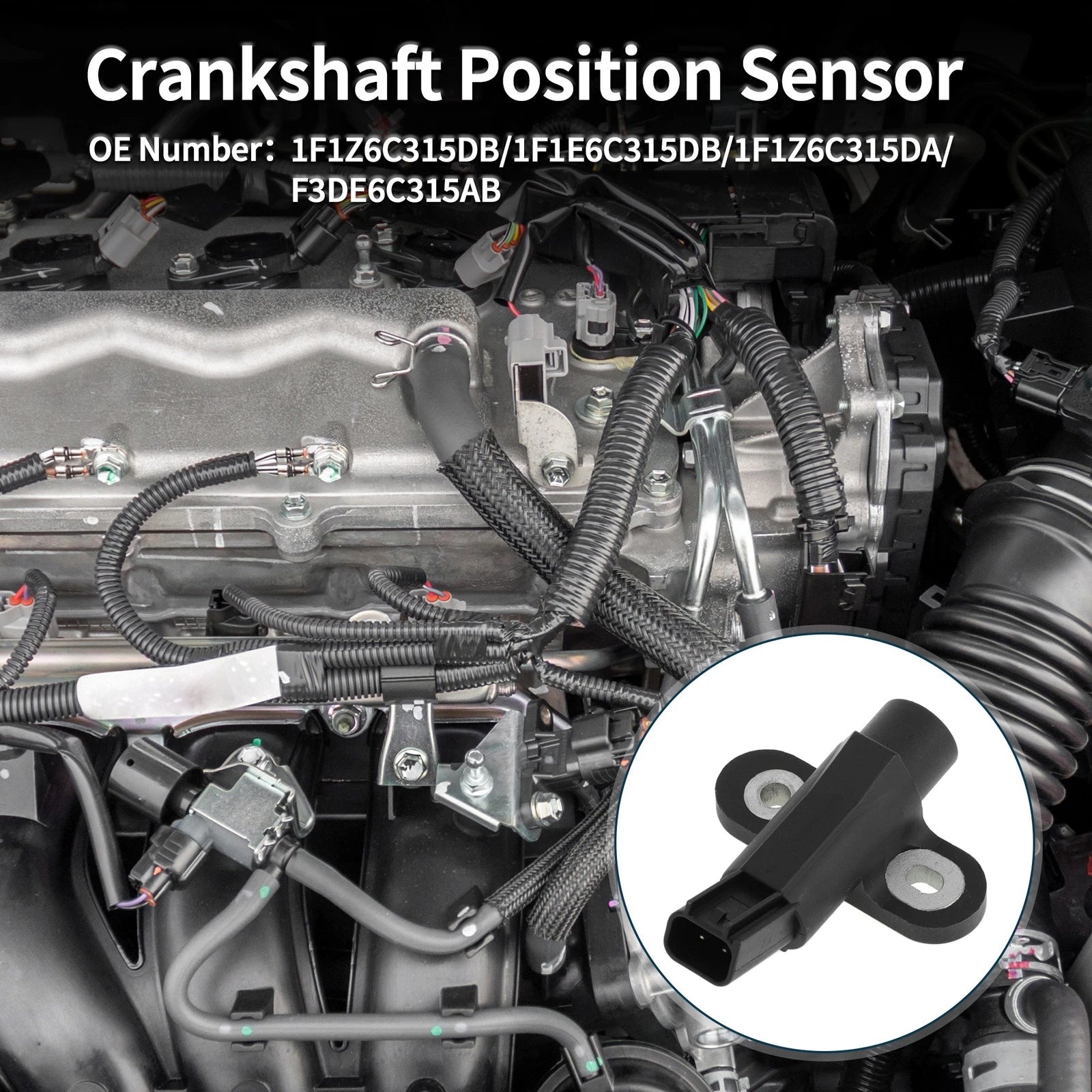 Crankshaft Position Sensor for Ford Ranger 3.0 (1995–2008) 1F1Z6C315DB