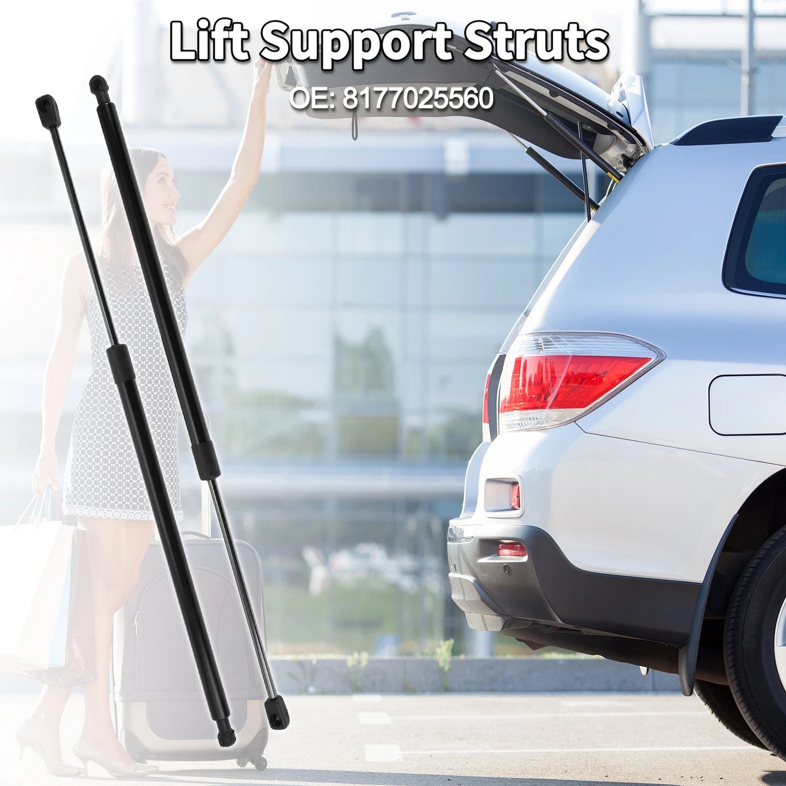 Rear Hatch Lift Supports Struts No. 8177025560 for Hyundai Accent (2003–2005)