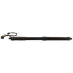 Liftgate Lift Supports for Hyundai Santa Fe Sport