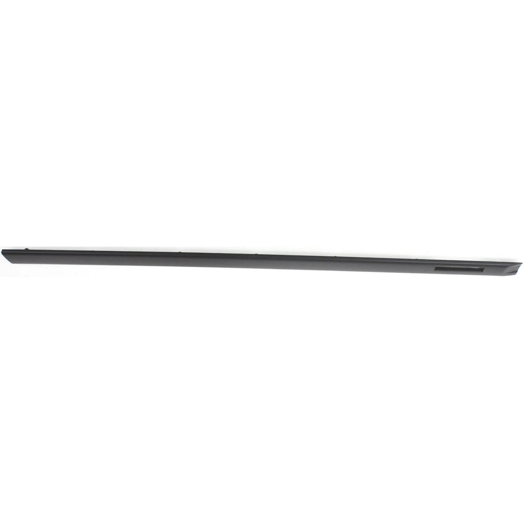 Set of 2 Door Molding and Beltlines for Coupe