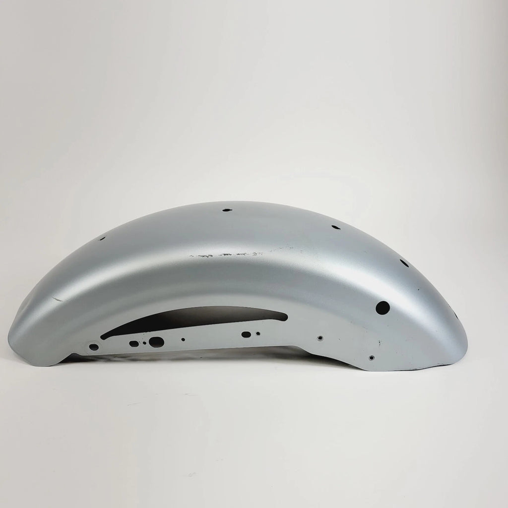 Rear Fender for Harley-Davidson XL883N Iron 883 (2010–2022) Barracuda Silver Denim