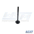 WSM Exhaust Valve for Yamaha 75-90 HP 4-Stroke (2016–2022) - 120-185
