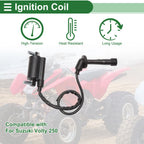 Ignition Coil for Suzuki Volty 250 (1999–2000)