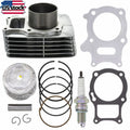 Top End Rebuild Kit with Cylinder, Piston, Gasket for Honda TRX250 (1997–2019)