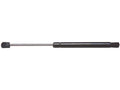 Liftgate Lift Support for Mazda 2 (2011–2014) WP858VX
